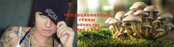 гашишное масло Беломорск